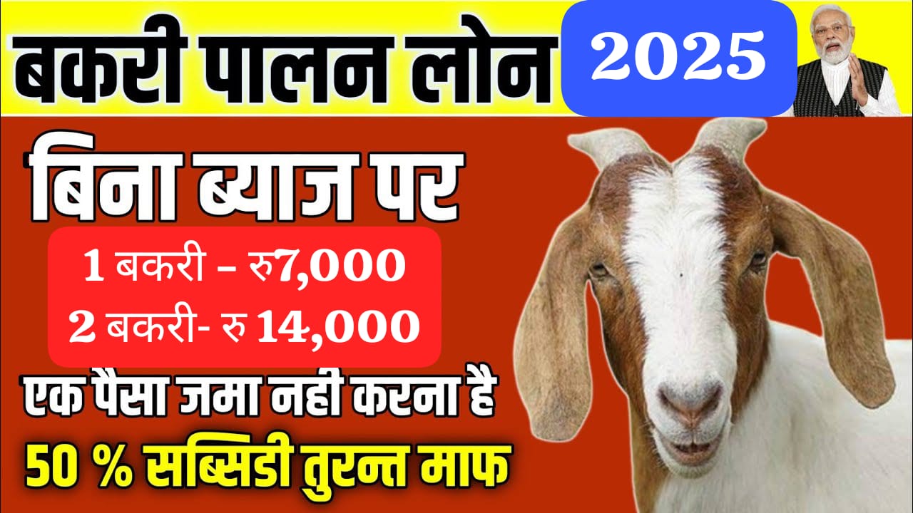 Goat Farming Loan